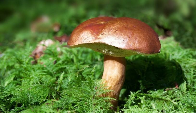 Lázeňský dům Mánes Konstantinovy Lázně